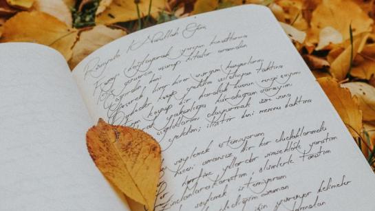 Gedicht op blaadjes in een bos.